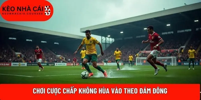 Chơi cược chấp không hùa vào theo đám đông