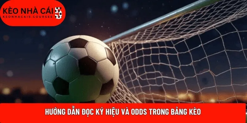Hướng dẫn đọc ký hiệu và odds trong bảng kèo