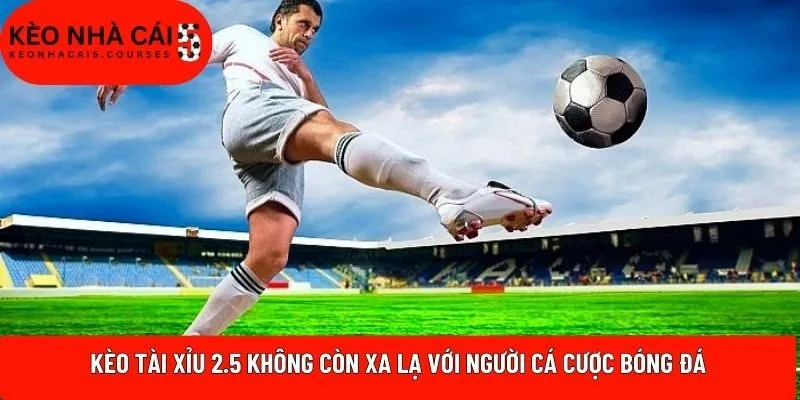 Kèo Tài Xỉu 2.5 không còn xa lạ với người cá cược bóng đá